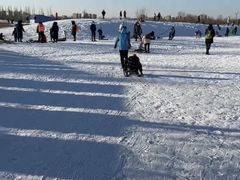 -绿野森林乐园冰雪季