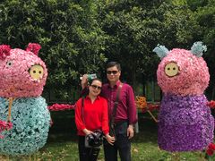 -武汉紫薇都市田园