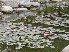 -太白山御龙湾温泉