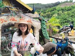 -西双版纳原始森林公园