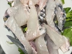 -金砂阿洲鱼册店