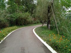 -桤木河湿地公园