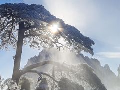 -黄山风景区