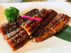 -Hatsune隐泉日式料理(三里屯太古里店)
