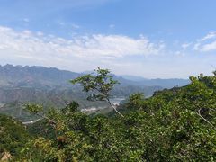 -雾灵西峰