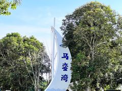 -马銮湾景区