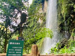 -马岭河峡谷风景区