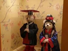 -济州岛泰迪熊博物馆