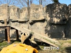 -上海野生动物园