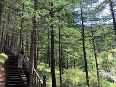 -苏木山森林公园