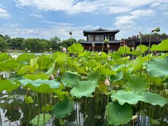 -湘湖大院(越王路店)