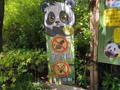 -灵玲国际马戏城