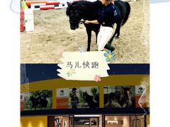 -骑乐马术(广州奥体优托邦中心)