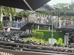 -圣淘沙天际线斜坡滑车