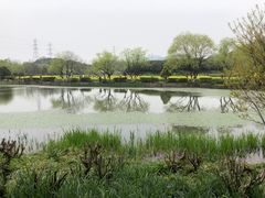 -八卦田遗址公园