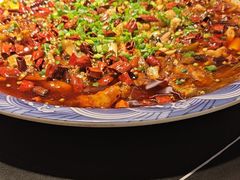 -新概念来凤鱼(璧山店)