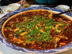 -新概念来凤鱼(璧山店)