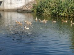 -乡乐园蟹庄·阳澄湖农家乐