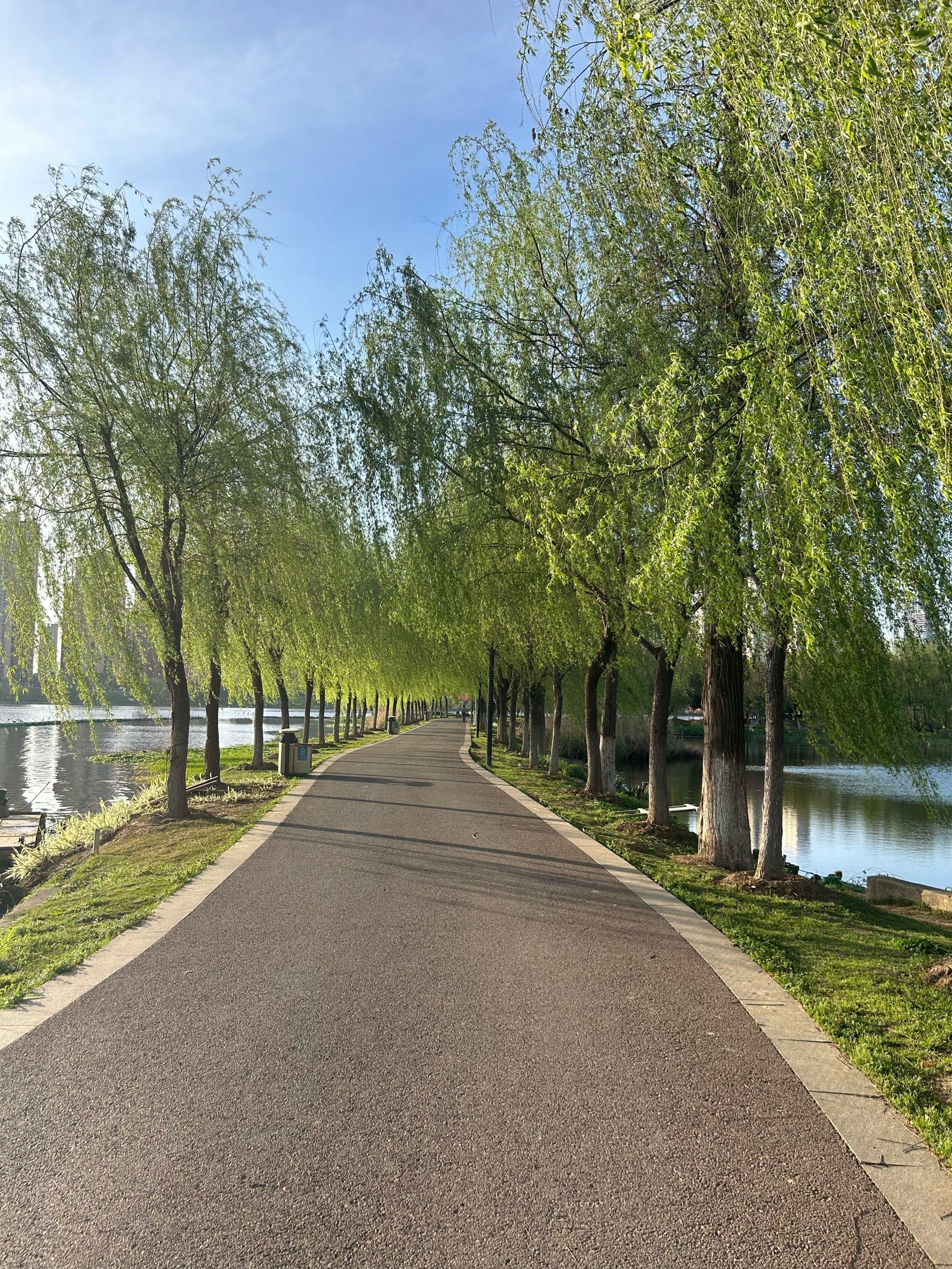 湖边散步的惬意