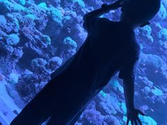 -太平洋海底世界