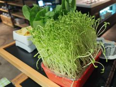 -番食园鲜食火锅(高新店)
