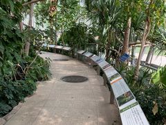 -北京植物园-展览温室