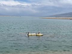 -青海湖国家重点风景名胜区