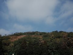 -汉景帝阳陵博物院