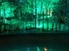 -长白山聚龙火山温泉