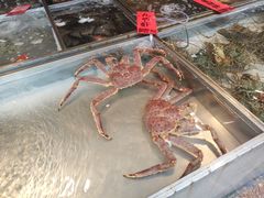水产区-湛江渔港·大排档(乐园路总店)