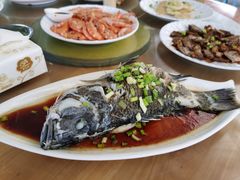 清蒸海鱼-七鲜渔港美食餐厅(巽寮湾海景店)