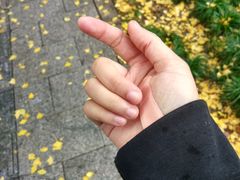 -苏州图书馆(人民路总馆)