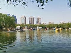 -团结湖公园
