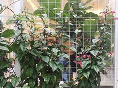 -拾壹cafe·工作室