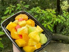 -火炉山森林公园