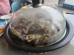 -大锅强·蒸海鲜青岛菜(吾悦广场店)