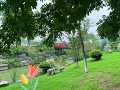 -羊山湖公园