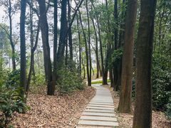 -广州市白云山风景名胜区
