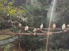 -九龙公园