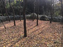 -淮海战役纪念馆
