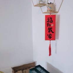 -凡碧诗毛孔收细