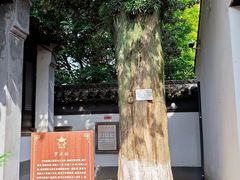-徐霞客故居