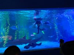 -常州海昌海洋探索馆