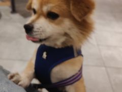 -麦当劳(万达广场店)