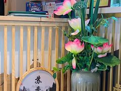 -丁老爷子苏香圆