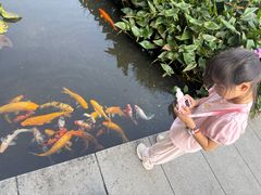 -中国宣纸文化园