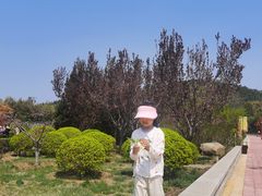 -龙口南山旅游景区