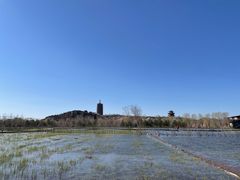 -永定河休闲森林公园