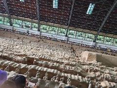-秦始皇帝陵博物院(兵马俑)