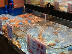 水产区-广东道至正餐厅(区庄店)